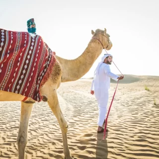 Best Morning Desert Safari in Abu Dhabi, UAE