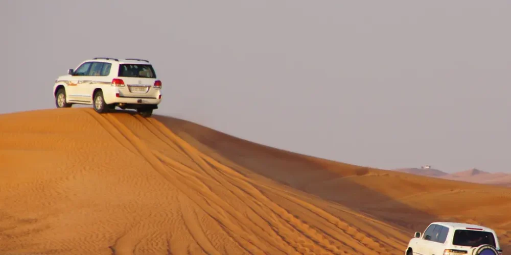 Desert safari from Abu Dhabi