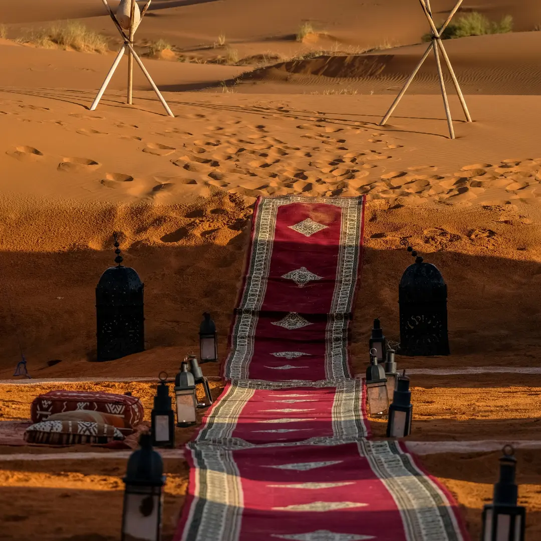 Desert safari with overnight stay in Abu Dhabi