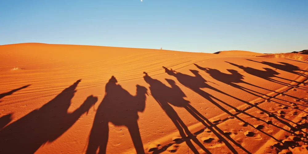 Premium Abu Dhabi Desert Safari